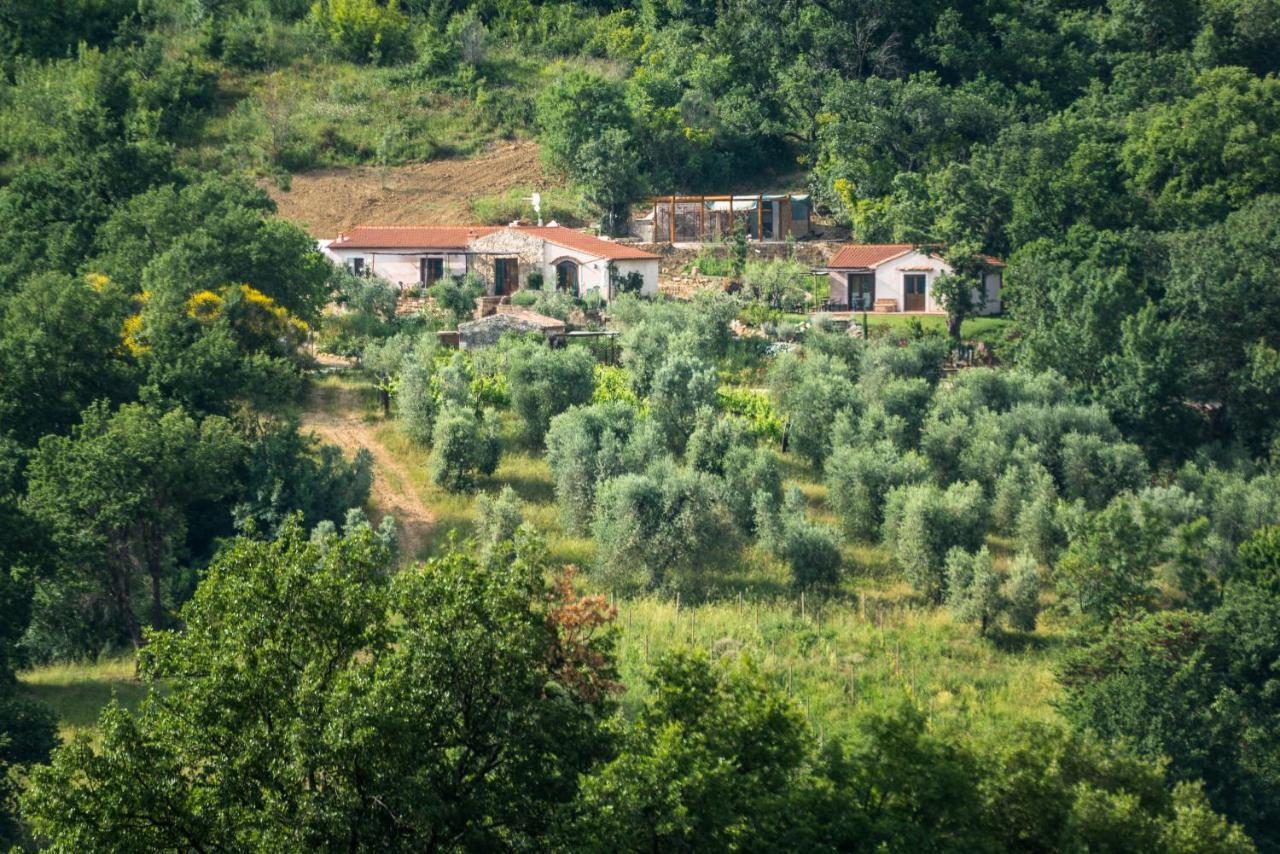 Agriturismo Fontenuova Saturnia Exteriör bild